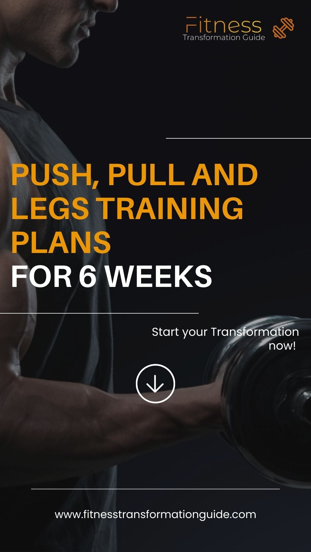 Push, Pull & Legs Training Plans for 6 Weeks