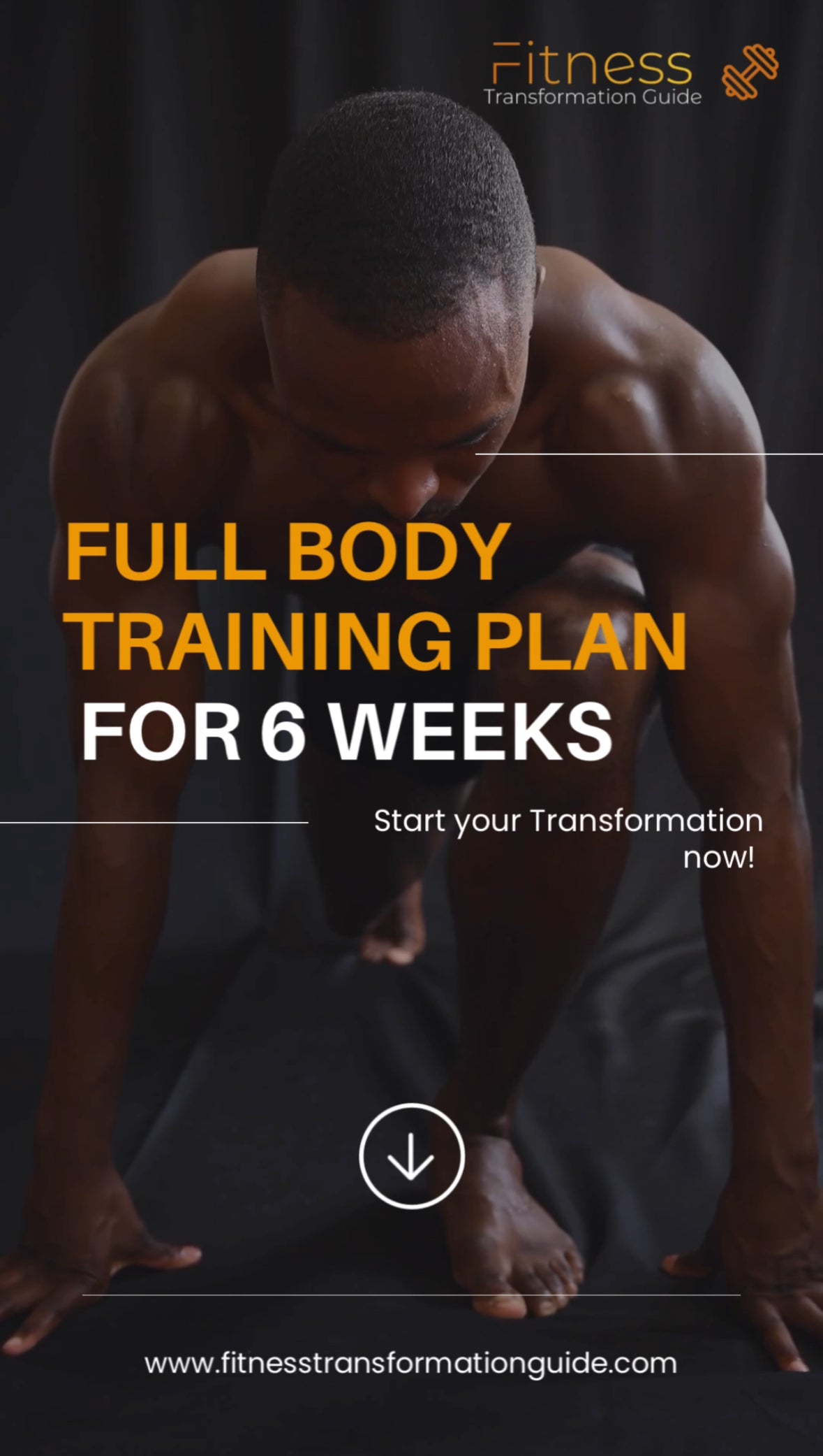 Full Body Training Plan for 6 Weeks